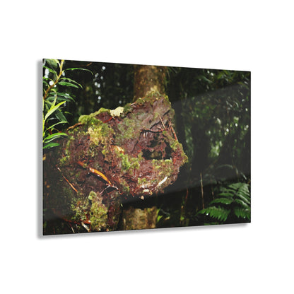 Acrylic Prints - US Made - Ideal for a Stunning Home/Office Decor Ideas - El Yunque - Tradewinds Trail The Cry f - CCMM* - Green Forest Home