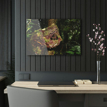 Acrylic Prints - US Made - Ideal for a Stunning Home/Office Decor Ideas - El Yunque - Tradewinds Trail The Cry f - CCMM* - Green Forest Home