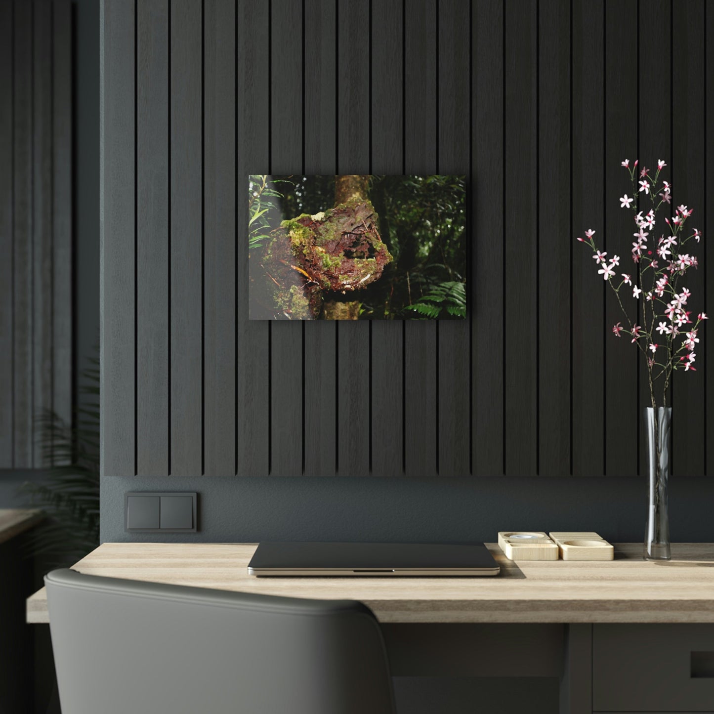 Acrylic Prints - US Made - Ideal for a Stunning Home/Office Decor Ideas - El Yunque - Tradewinds Trail The Cry f - CCMM* - Green Forest Home