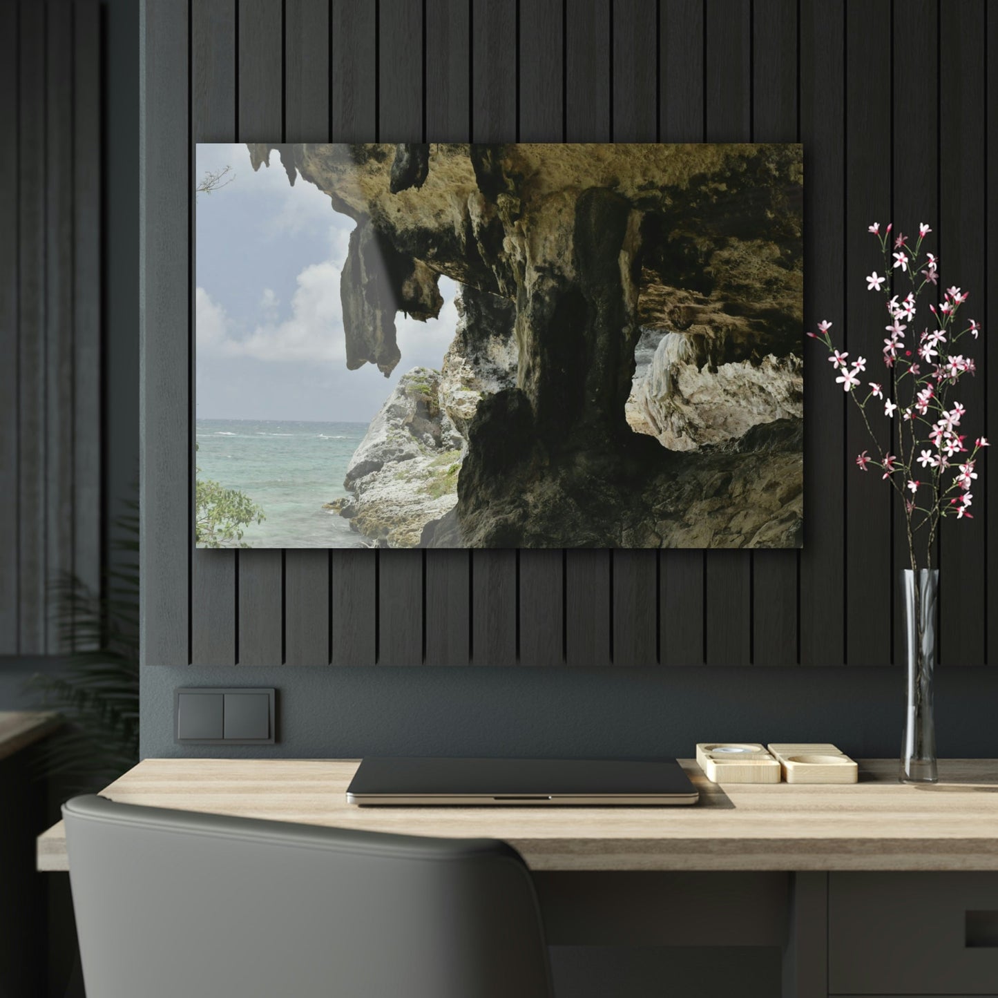 Acrylic Prints - US Made - Ideal for a Stunning Home/Office Decor Ideas - Inspirations from Nature - Mona island Caves on Edge of Pajaros beach - Green Forest Home