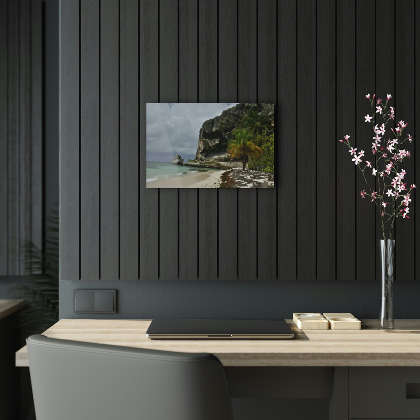 Acrylic Prints - US Made - Ideal for a Stunning Home/Office Decor Ideas - Inspirations from Nature - Mona island Edge of Pajaros Beach & Cave View - Green Forest Home