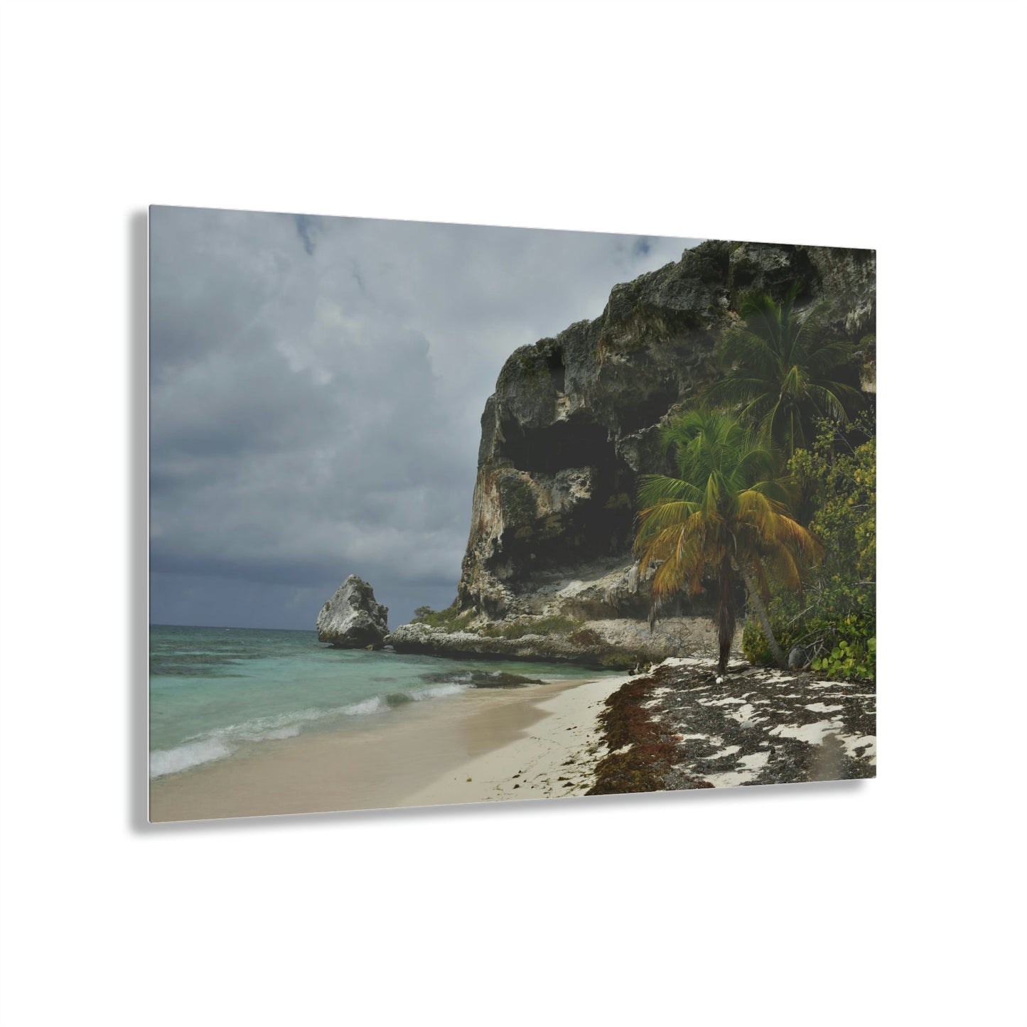 Acrylic Prints - US Made - Ideal for a Stunning Home/Office Decor Ideas - Inspirations from Nature - Mona island Edge of Pajaros Beach & Cave View - Green Forest Home