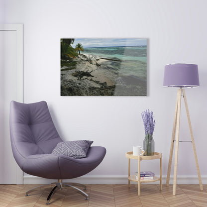 Acrylic Prints - US Made - Ideal for a Stunning Home/Office Decor Ideas - Inspirations from Nature - Mona island - Pajaros Beach From Coral Wall - Green Forest Home