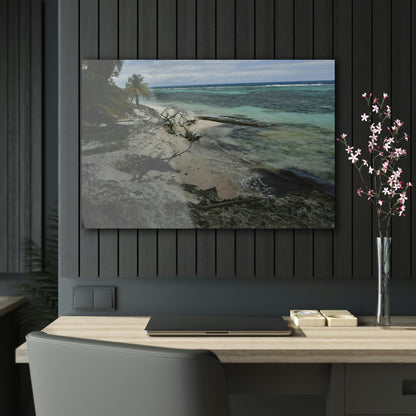 Acrylic Prints - US Made - Ideal for a Stunning Home/Office Decor Ideas - Inspirations from Nature - Mona island - Pajaros Beach From Coral Wall - Green Forest Home