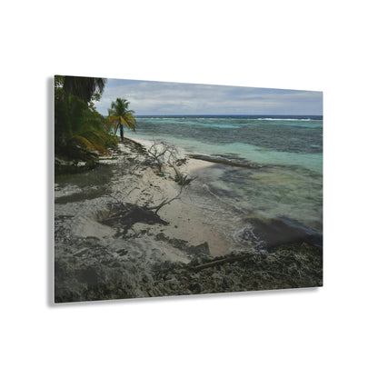 Acrylic Prints - US Made - Ideal for a Stunning Home/Office Decor Ideas - Inspirations from Nature - Mona island - Pajaros Beach From Coral Wall - Green Forest Home