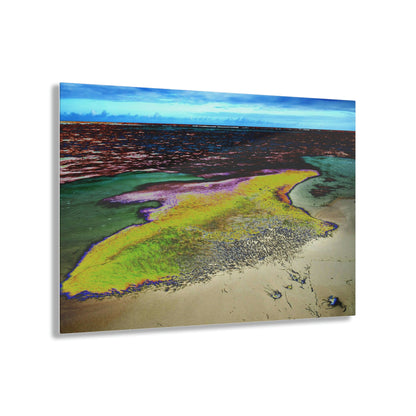 Acrylic Prints - US Made - Ideal for a Stunning Home/Office Decor Ideas - Inspirations from Nature - Remote Mona island - Algae Formations on Beach - CCMM* - Green Forest Home