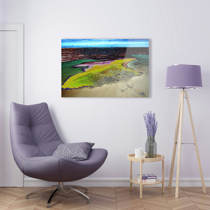 Acrylic Prints - US Made - Ideal for a Stunning Home/Office Decor Ideas - Inspirations from Nature - Remote Mona island - Algae Formations on Beach - CCMM* - Green Forest Home