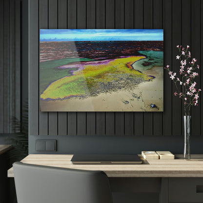 Acrylic Prints - US Made - Ideal for a Stunning Home/Office Decor Ideas - Inspirations from Nature - Remote Mona island - Algae Formations on Beach - CCMM* - Green Forest Home