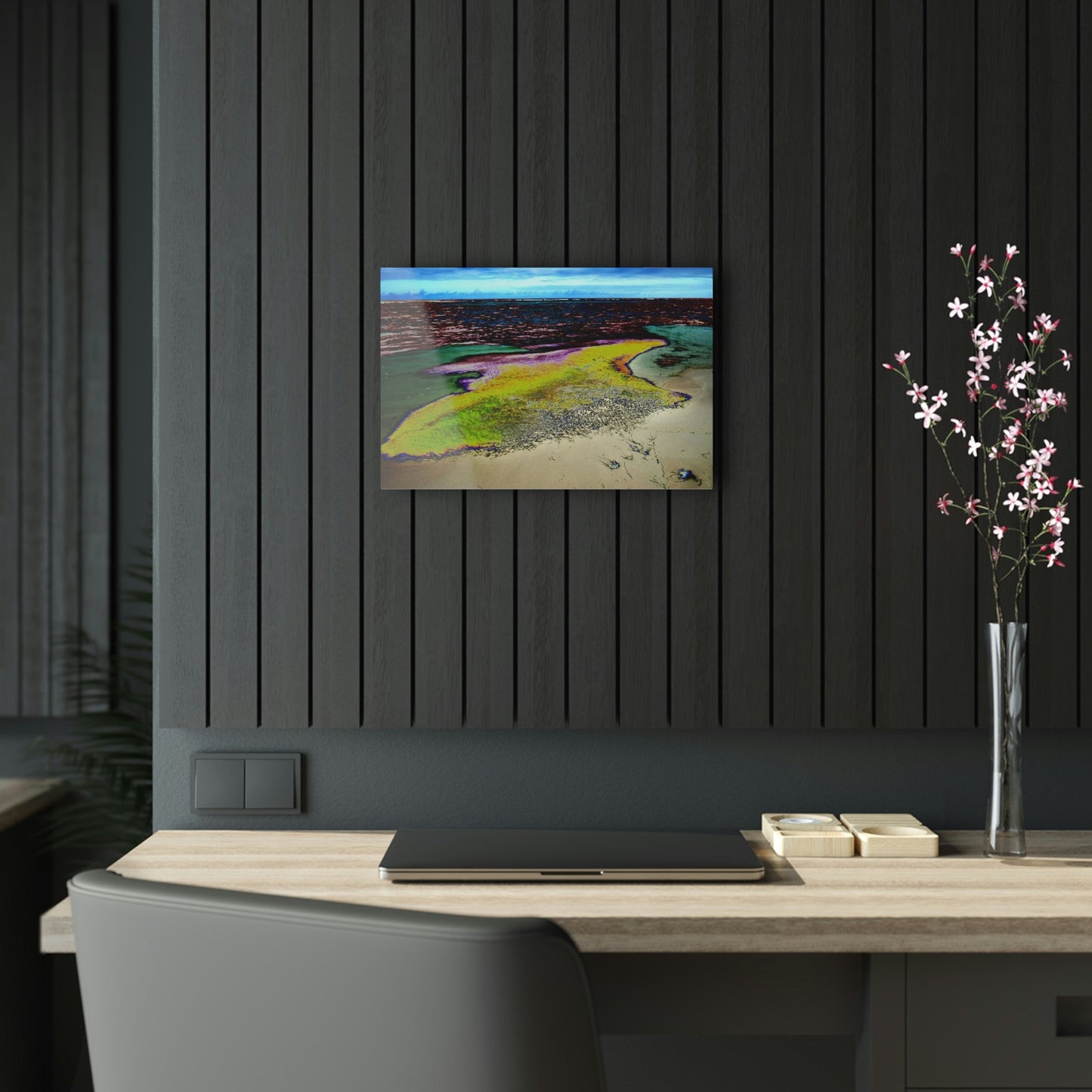 Acrylic Prints - US Made - Ideal for a Stunning Home/Office Decor Ideas - Inspirations from Nature - Remote Mona island - Algae Formations on Beach - CCMM* - Green Forest Home