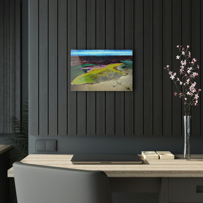 Acrylic Prints - US Made - Ideal for a Stunning Home/Office Decor Ideas - Inspirations from Nature - Remote Mona island - Algae Formations on Beach - CCMM* - Green Forest Home
