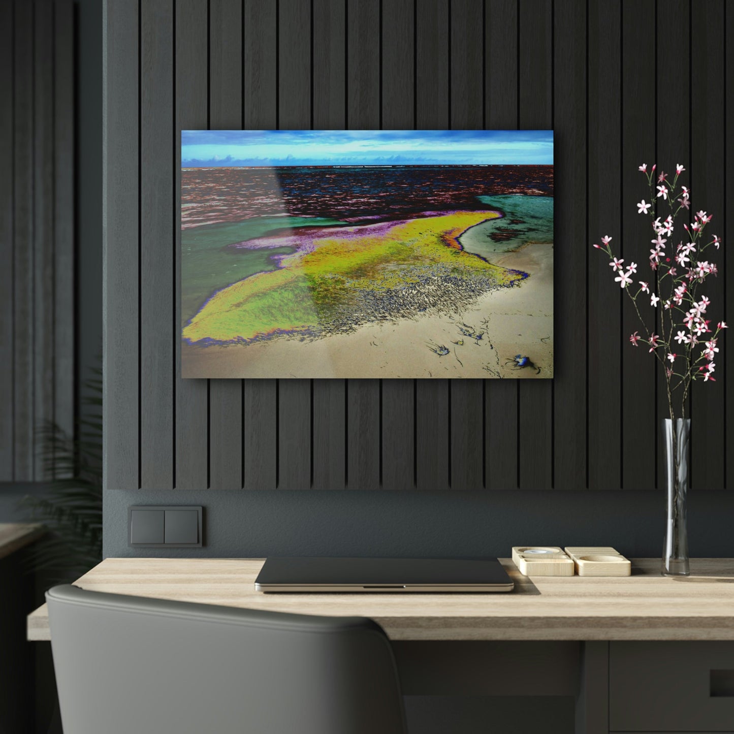 Acrylic Prints - US Made - Ideal for a Stunning Home/Office Decor Ideas - Inspirations from Nature - Remote Mona island - Algae Formations on Beach - CCMM* - Green Forest Home
