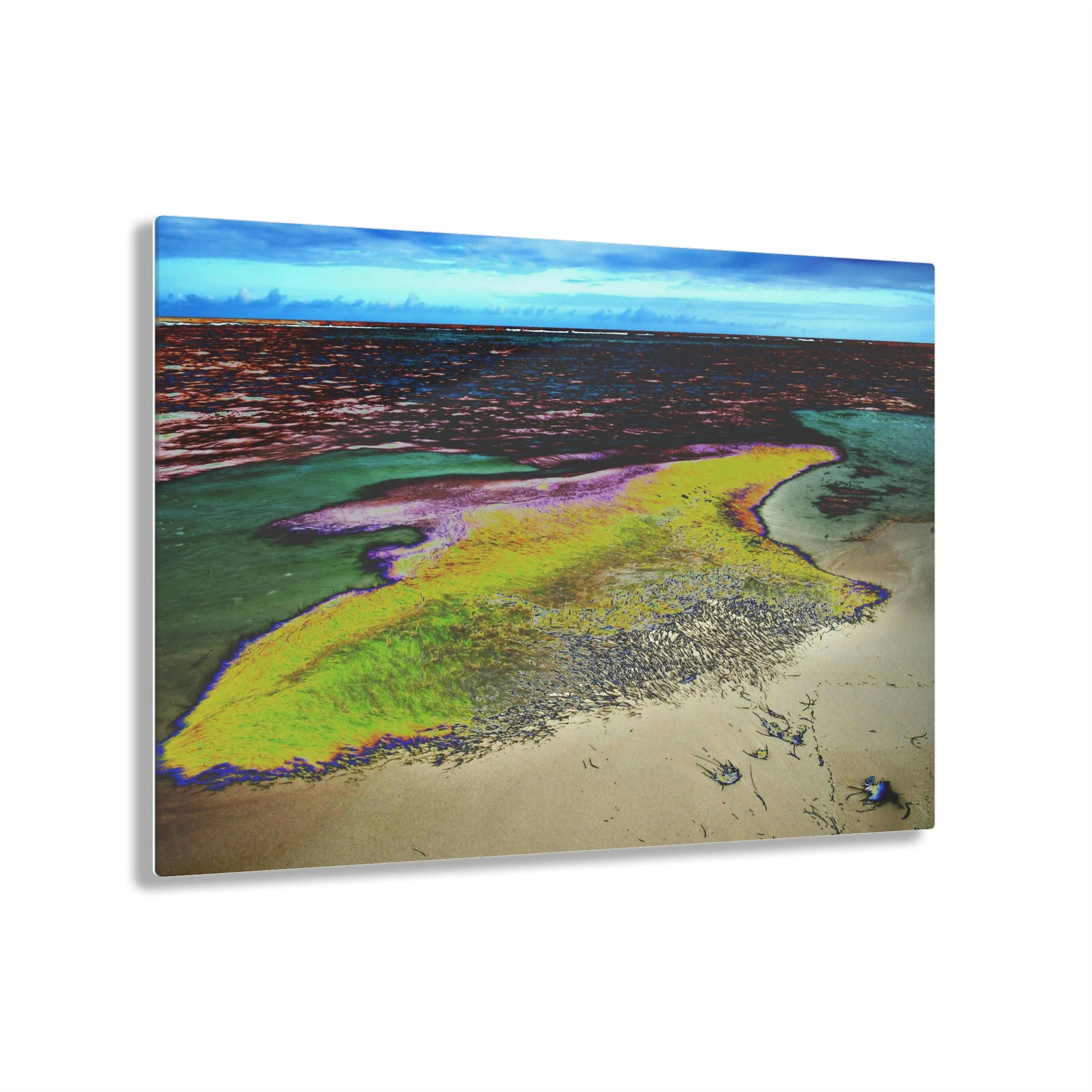 Acrylic Prints - US Made - Ideal for a Stunning Home/Office Decor Ideas - Inspirations from Nature - Remote Mona island - Algae Formations on Beach - CCMM* - Green Forest Home