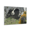 Acrylic Prints - US Made - Ideal for a Stunning Home/Office Decor Ideas - Inspirations from Nature - Remote Mona island Caves Entrance - Green Forest Home