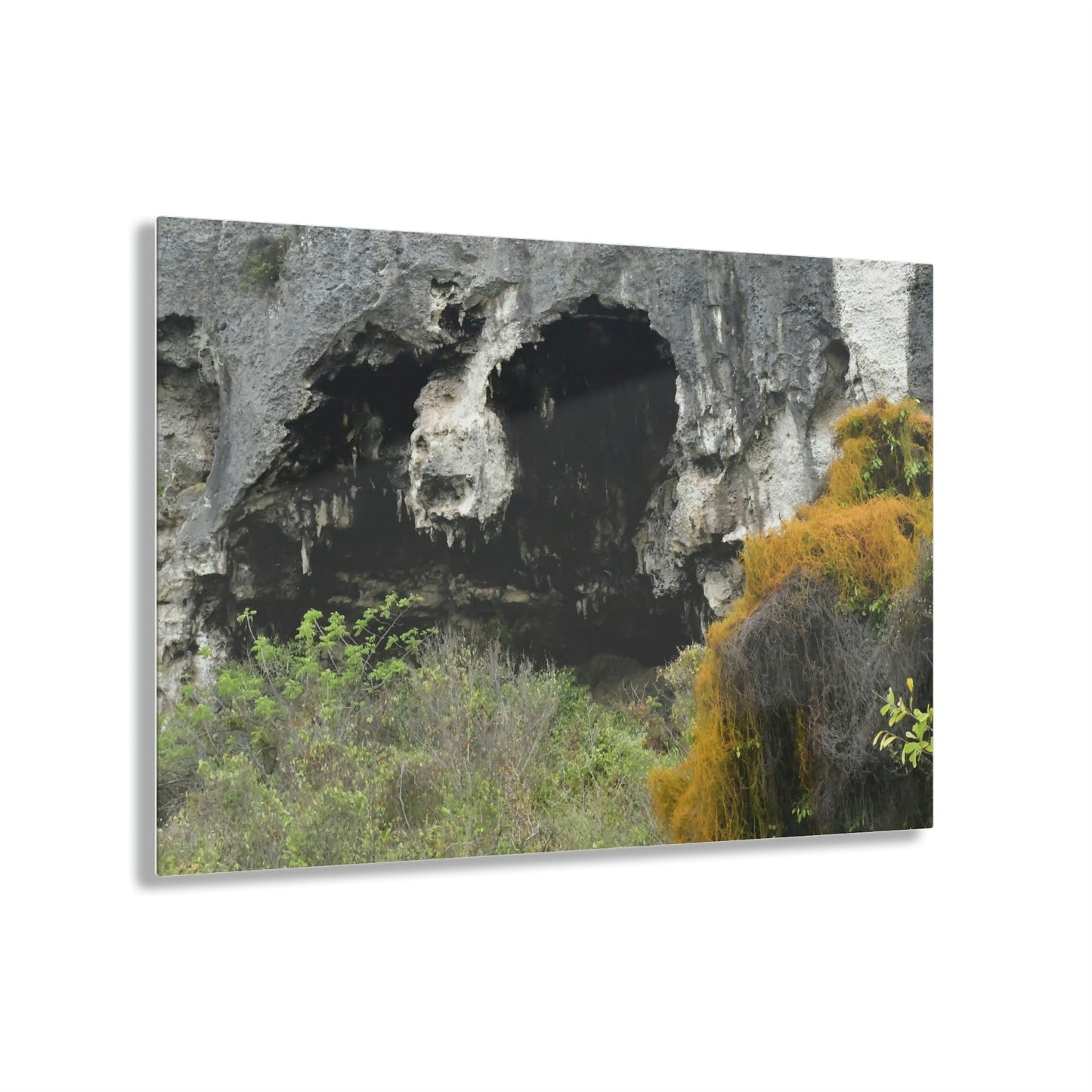 Acrylic Prints - US Made - Ideal for a Stunning Home/Office Decor Ideas - Inspirations from Nature - Remote Mona island Caves Entrance - Green Forest Home