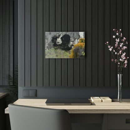 Acrylic Prints - US Made - Ideal for a Stunning Home/Office Decor Ideas - Inspirations from Nature - Remote Mona island Caves Entrance - Green Forest Home