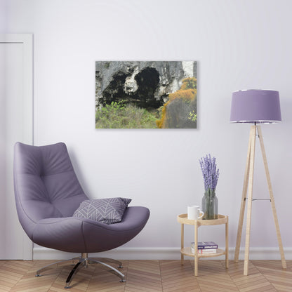 Acrylic Prints - US Made - Ideal for a Stunning Home/Office Decor Ideas - Inspirations from Nature - Remote Mona island Caves Entrance - Green Forest Home