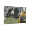 Acrylic Prints - US Made - Ideal for a Stunning Home/Office Decor Ideas - Inspirations from Nature - Remote Mona island Caves Entrance - Green Forest Home