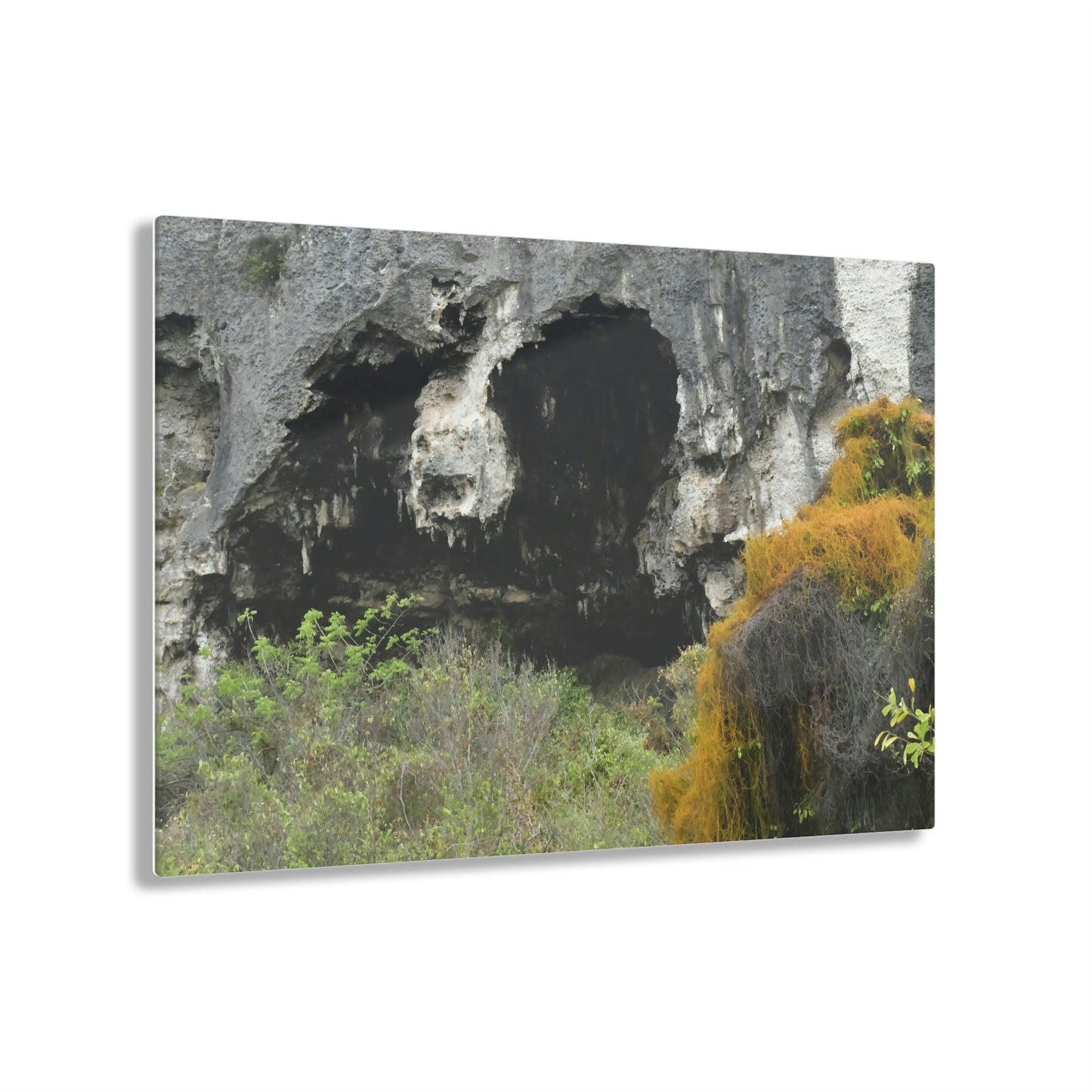 Acrylic Prints - US Made - Ideal for a Stunning Home/Office Decor Ideas - Inspirations from Nature - Remote Mona island Caves Entrance - Green Forest Home