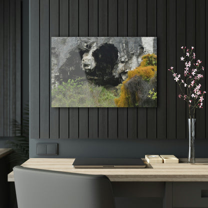 Acrylic Prints - US Made - Ideal for a Stunning Home/Office Decor Ideas - Inspirations from Nature - Remote Mona island Caves Entrance - Green Forest Home