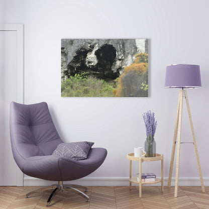 Acrylic Prints - US Made - Ideal for a Stunning Home/Office Decor Ideas - Inspirations from Nature - Remote Mona island Caves Entrance - Green Forest Home