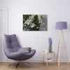 Acrylic Prints - US Made - Ideal for a Stunning Home/Office Decor Ideas - Inspirations from Nature - Remote Mona island & Caves - Puerto Rico - Green Forest Home
