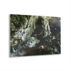 Acrylic Prints - US Made - Ideal for a Stunning Home/Office Decor Ideas - Inspirations from Nature - Remote Mona island & Caves - Puerto Rico - Green Forest Home
