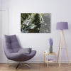 Acrylic Prints - US Made - Ideal for a Stunning Home/Office Decor Ideas - Inspirations from Nature - Remote Mona island & Caves - Puerto Rico - Green Forest Home