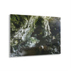 Acrylic Prints - US Made - Ideal for a Stunning Home/Office Decor Ideas - Inspirations from Nature - Remote Mona island & Caves - Puerto Rico - Green Forest Home