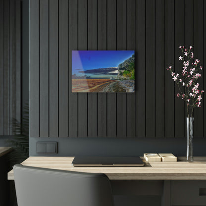 Acrylic Prints - US Made - Ideal for a Stunning Home/Office Decor Ideas - Inspirations from Nature - Remote Mona island - Edge of Pajaros Beach - CCMM* - Green Forest Home