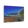 Acrylic Prints - US Made - Ideal for a Stunning Home/Office Decor Ideas - Inspirations from Nature - Remote Mona island - Edge of Pajaros Beach - CCMM* - Green Forest Home