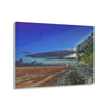 Acrylic Prints - US Made - Ideal for a Stunning Home/Office Decor Ideas - Inspirations from Nature - Remote Mona island - Edge of Pajaros Beach - CCMM* - Green Forest Home