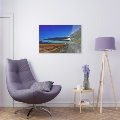 Acrylic Prints - US Made - Ideal for a Stunning Home/Office Decor Ideas - Inspirations from Nature - Remote Mona island - Edge of Pajaros Beach - CCMM* - Green Forest Home