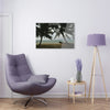 Acrylic Prints - US Made - Ideal for a Stunning Home/Office Decor Ideas - Inspirations from Nature - Remote Mona island - Fisherman on Pier - Green Forest Home