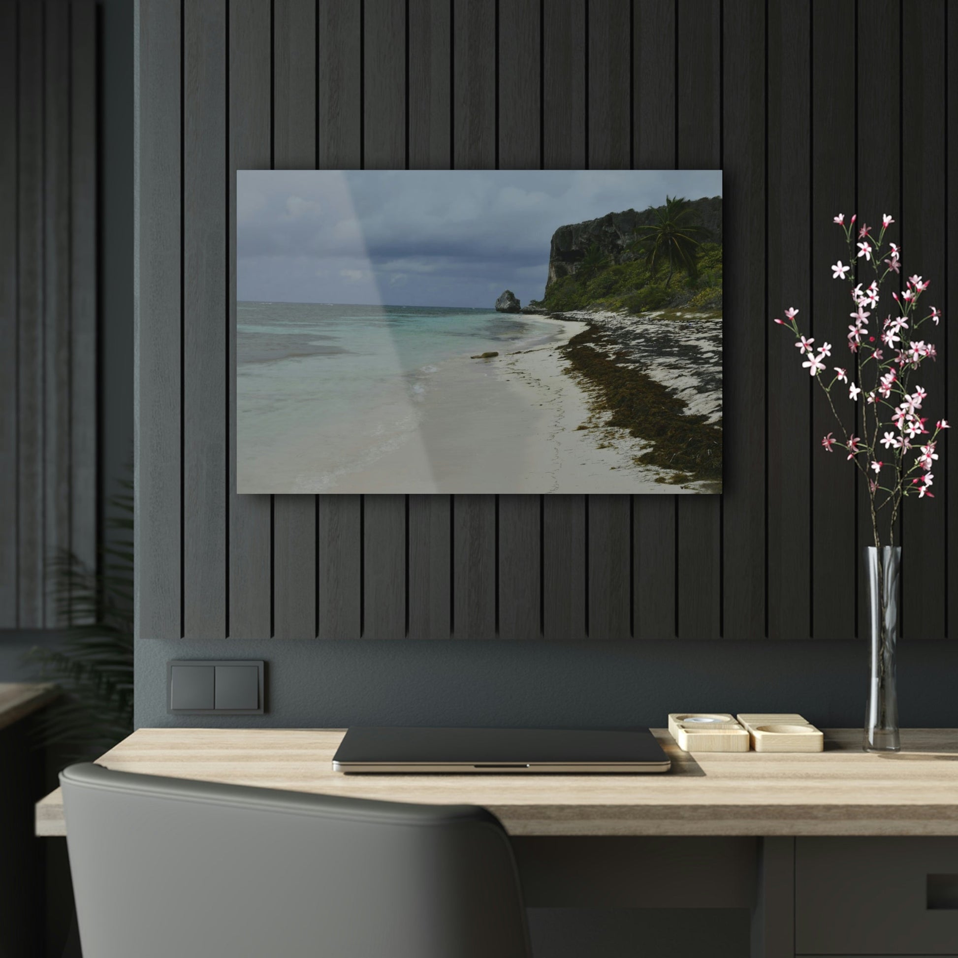 Acrylic Prints - US Made - Ideal for a Stunning Home/Office Decor Ideas - Inspirations from Nature - Remote Mona island - Gloomy Day Edge Pajaros Beach - Green Forest Home