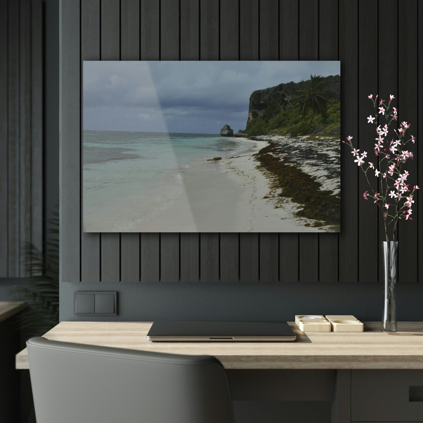 Acrylic Prints - US Made - Ideal for a Stunning Home/Office Decor Ideas - Inspirations from Nature - Remote Mona island - Gloomy Day Edge Pajaros Beach - Green Forest Home