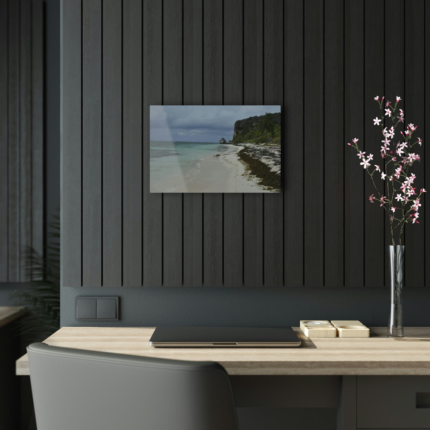 Acrylic Prints - US Made - Ideal for a Stunning Home/Office Decor Ideas - Inspirations from Nature - Remote Mona island - Gloomy Day Edge Pajaros Beach - Green Forest Home