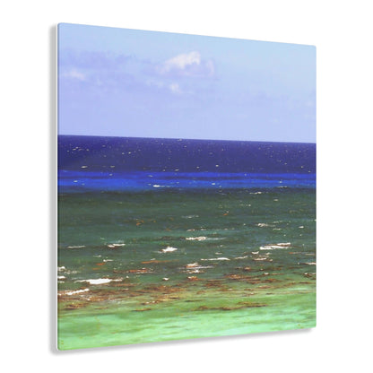 Acrylic Prints - US Made - Ideal for a Stunning Home/Office Decor Ideas - Inspirations from Nature - Remote Mona island Ocean Shades - Puerto Rico - Green Forest Home