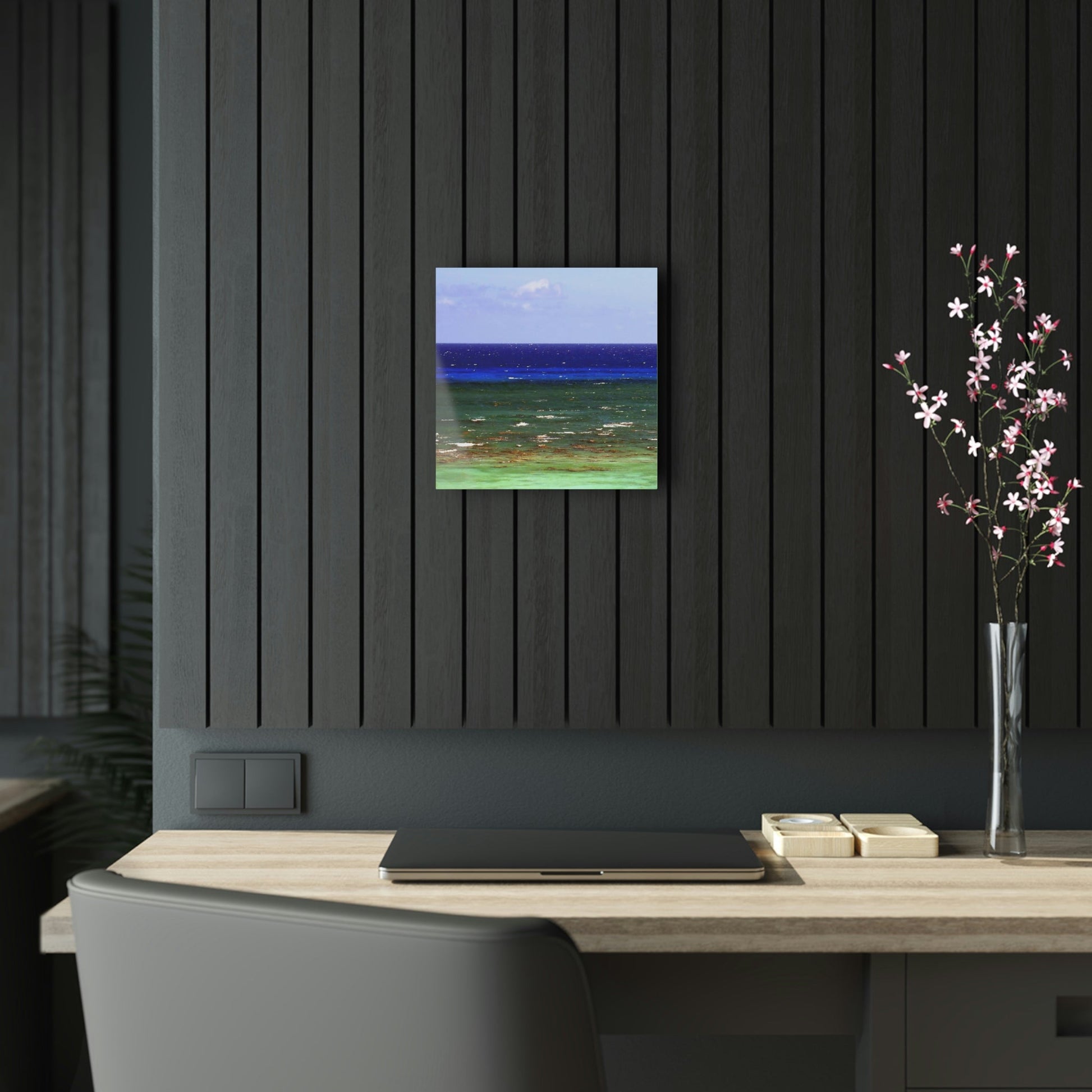 Acrylic Prints - US Made - Ideal for a Stunning Home/Office Decor Ideas - Inspirations from Nature - Remote Mona island Ocean Shades - Puerto Rico - Green Forest Home