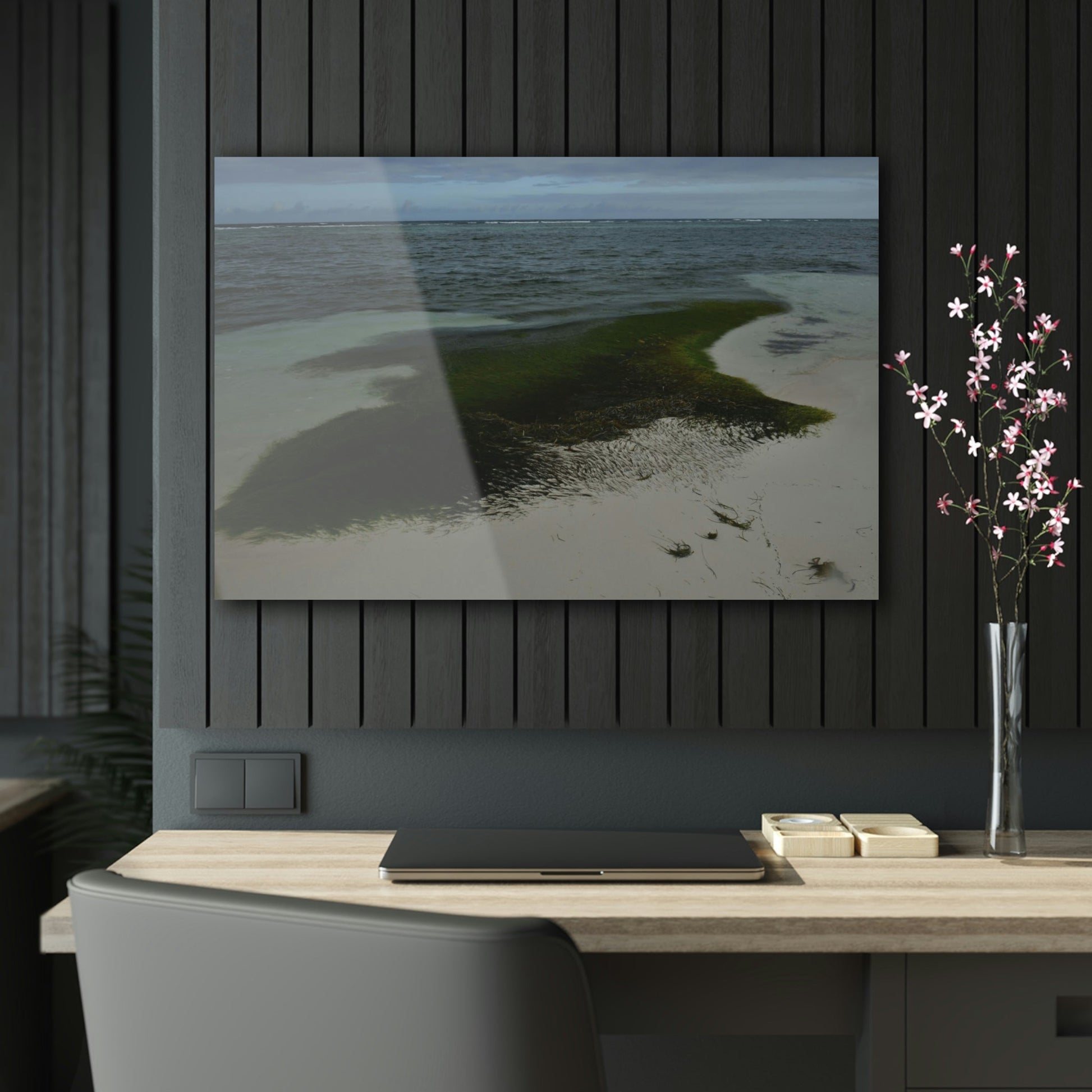 Acrylic Prints - US Made - Ideal for a Stunning Home/Office Decor Ideas - Inspirations from Nature - Remote Mona island - Pajaros Beach Algae formations ** - Green Forest Home