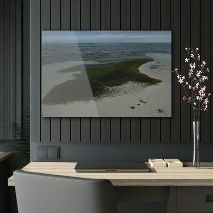 Acrylic Prints - US Made - Ideal for a Stunning Home/Office Decor Ideas - Inspirations from Nature - Remote Mona island - Pajaros Beach Algae formations ** - Green Forest Home