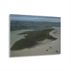 Acrylic Prints - US Made - Ideal for a Stunning Home/Office Decor Ideas - Inspirations from Nature - Remote Mona island - Pajaros Beach Algae formations ** - Green Forest Home