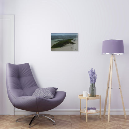 Acrylic Prints - US Made - Ideal for a Stunning Home/Office Decor Ideas - Inspirations from Nature - Remote Mona island - Pajaros Beach Algae formations ** - Green Forest Home