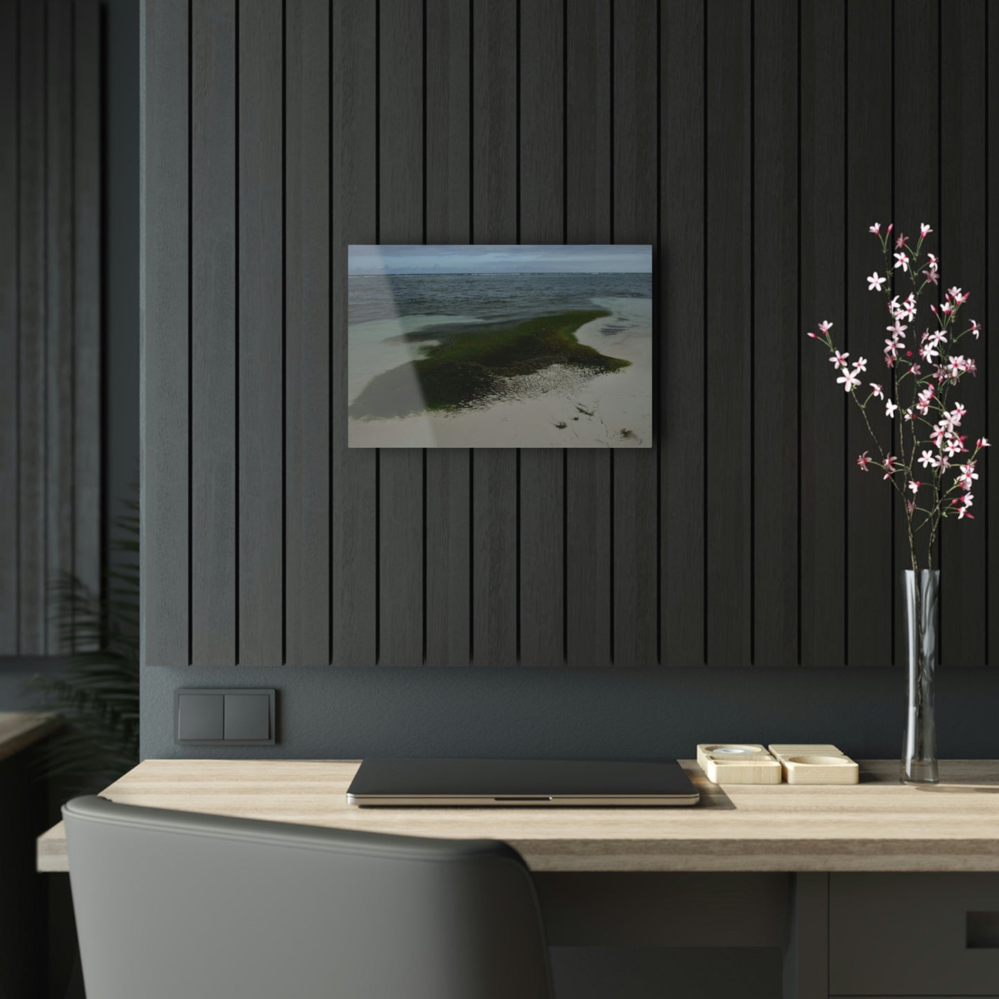 Acrylic Prints - US Made - Ideal for a Stunning Home/Office Decor Ideas - Inspirations from Nature - Remote Mona island - Pajaros Beach Algae formations ** - Green Forest Home