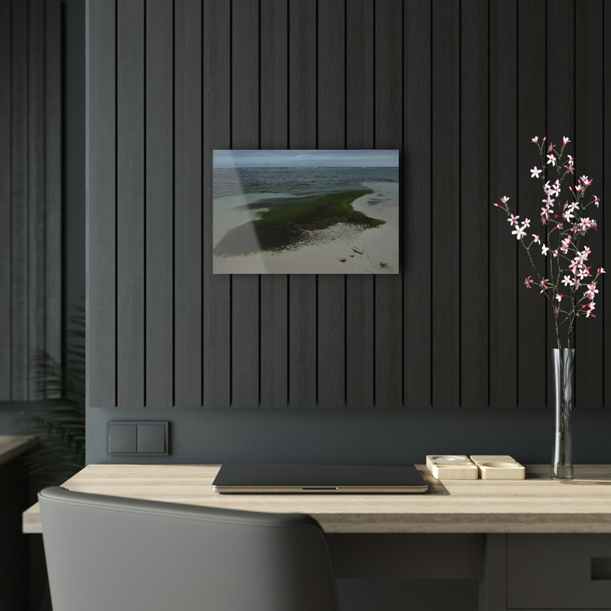 Acrylic Prints - US Made - Ideal for a Stunning Home/Office Decor Ideas - Inspirations from Nature - Remote Mona island - Pajaros Beach Algae formations ** - Green Forest Home