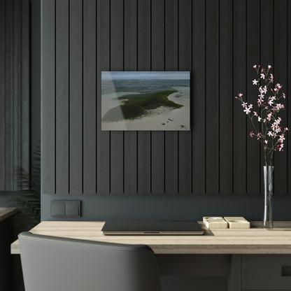 Acrylic Prints - US Made - Ideal for a Stunning Home/Office Decor Ideas - Inspirations from Nature - Remote Mona island - Pajaros Beach Algae formations ** - Green Forest Home