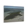 Acrylic Prints - US Made - Ideal for a Stunning Home/Office Decor Ideas - Inspirations from Nature - Remote Mona island - Pajaros Beach Algae formations ** - Green Forest Home