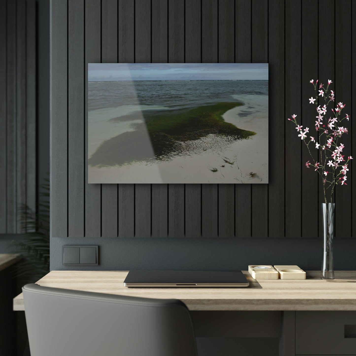 Acrylic Prints - US Made - Ideal for a Stunning Home/Office Decor Ideas - Inspirations from Nature - Remote Mona island - Pajaros Beach Algae formations ** - Green Forest Home