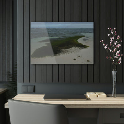 Acrylic Prints - US Made - Ideal for a Stunning Home/Office Decor Ideas - Inspirations from Nature - Remote Mona island - Pajaros Beach Algae formations ** - Green Forest Home