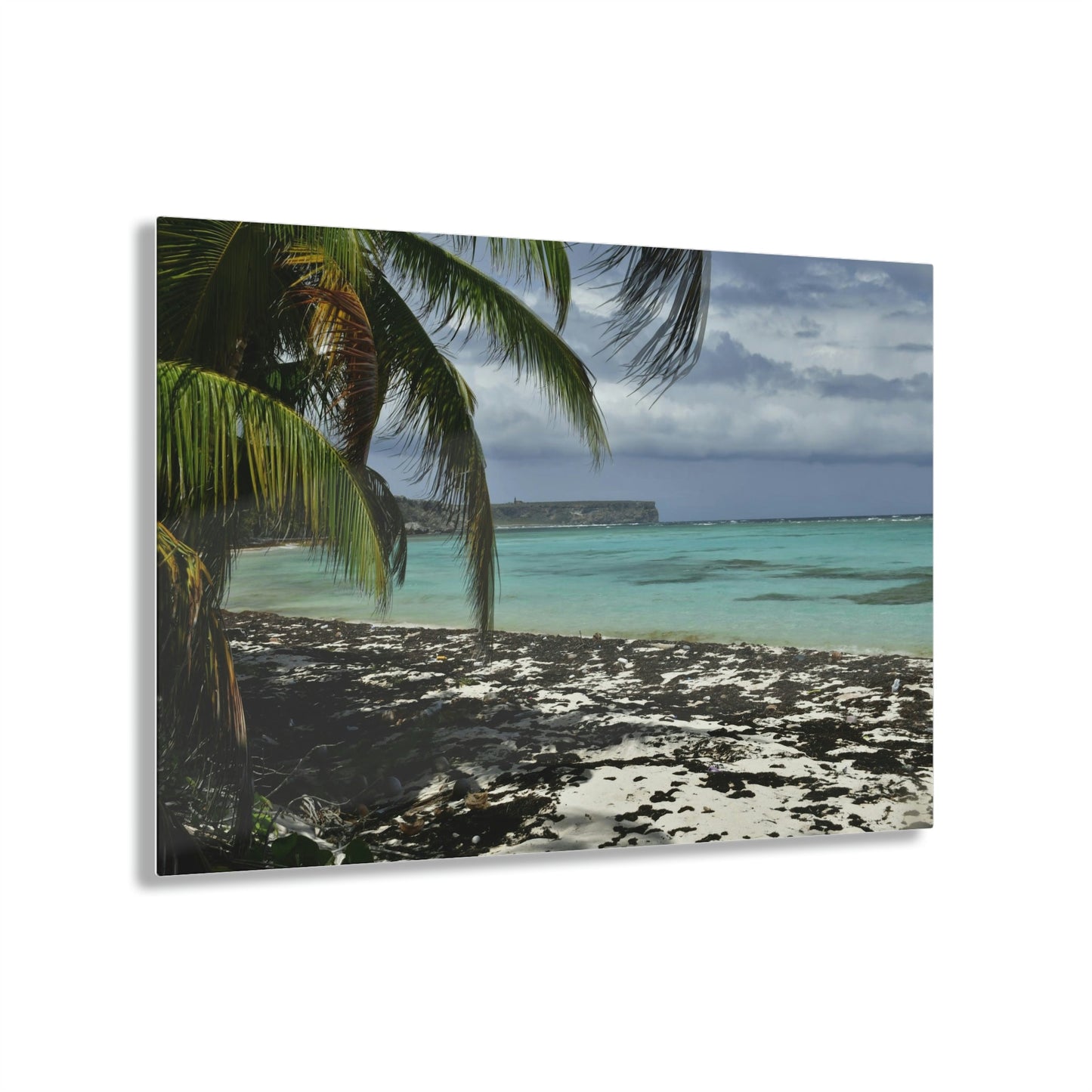 Acrylic Prints - US Made - Ideal for a Stunning Home/Office Decor Ideas - Inspirations from Nature - Remote Mona island - Pajaros Beach & Plateau - Green Forest Home