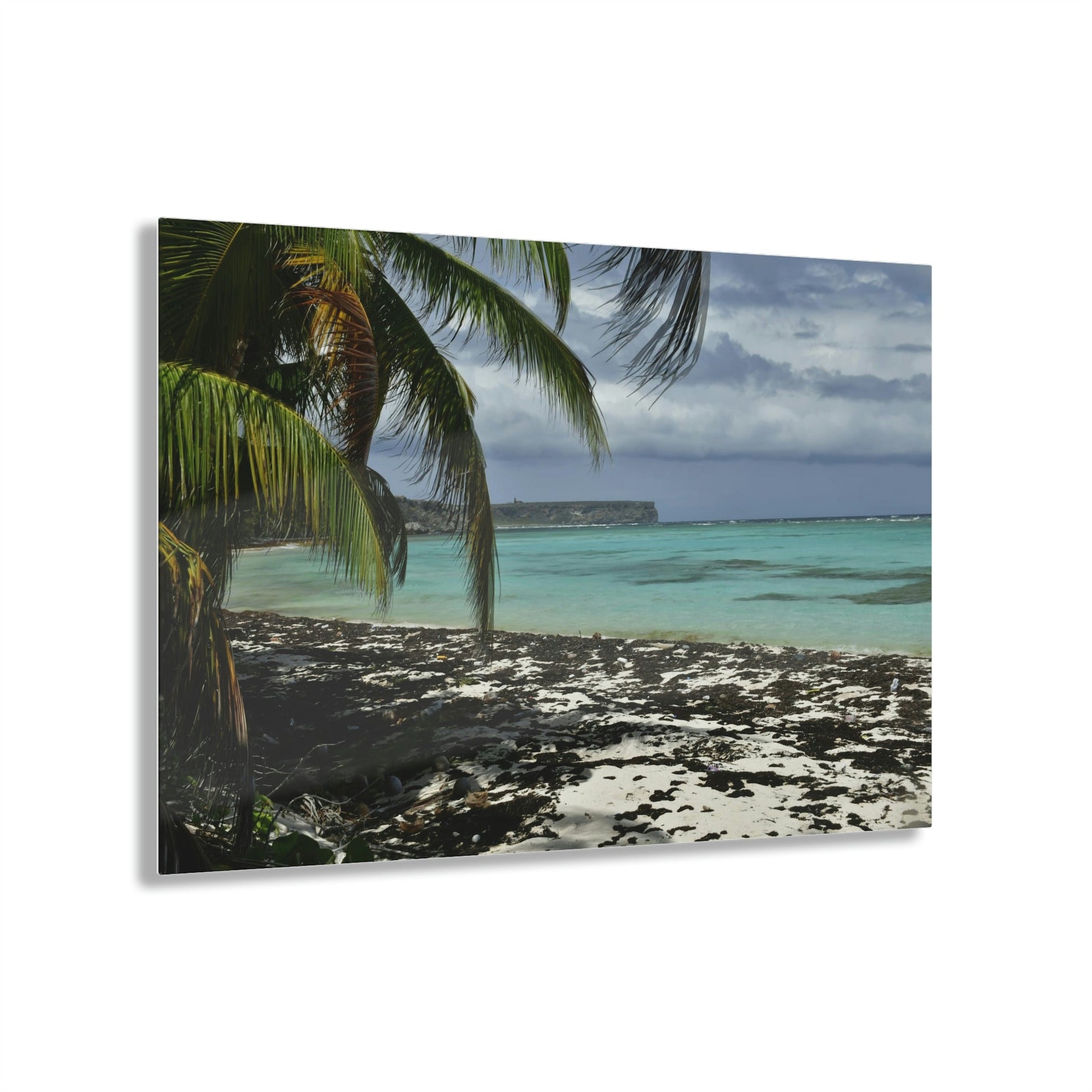 Acrylic Prints - US Made - Ideal for a Stunning Home/Office Decor Ideas - Inspirations from Nature - Remote Mona island - Pajaros Beach & Plateau - Green Forest Home